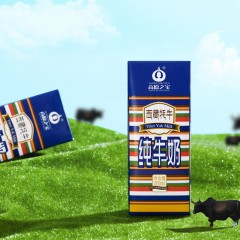 高原之宝西藏牦牛纯牛奶200ml*12